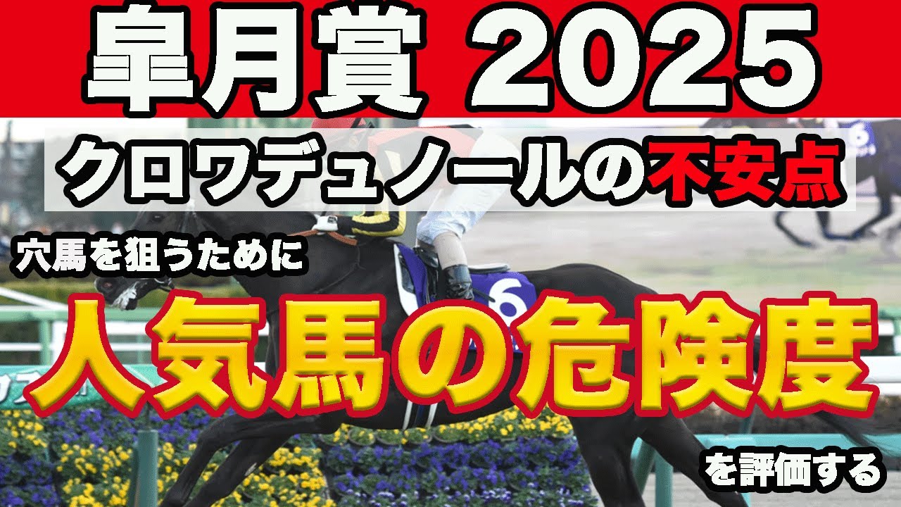 【皐月賞2025】人気馬の危険度診断！クロワデュノールの不安点とは！？【競馬】【競馬予想】#競馬 #競馬予想 #皐月賞2025 #皐月賞