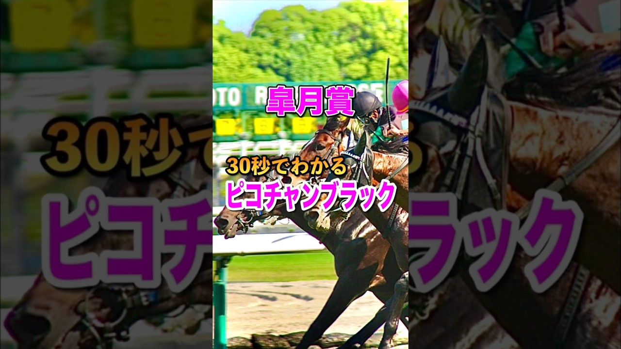 【皐月賞2025】30秒でわかるピコチャンブラック