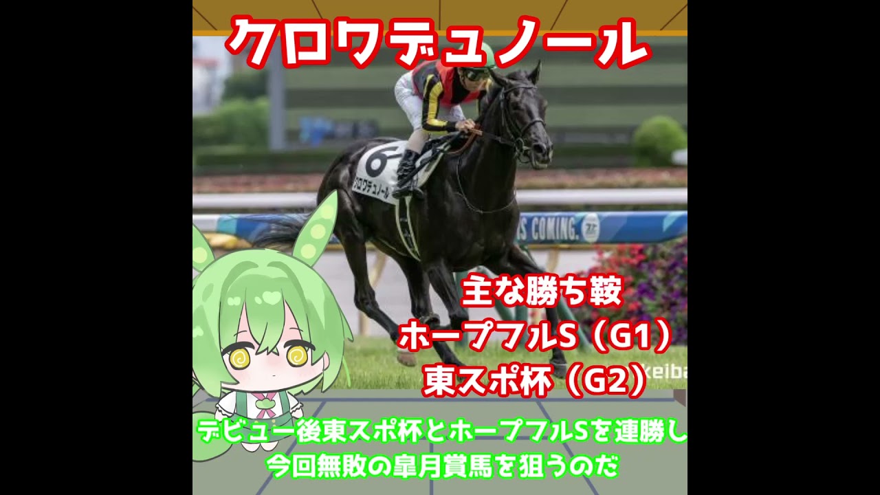 【皐月賞出走馬紹介】クロワデュノール　未来の姿は無敗の三冠馬！？王道競馬の手本を確立する！【皐月賞2025】#shorts #競馬 #クロワデュノール #皐月賞