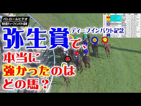 弥生賞2025をパトロールビデオで振り返ったら、皐月賞2025が見えてきた！