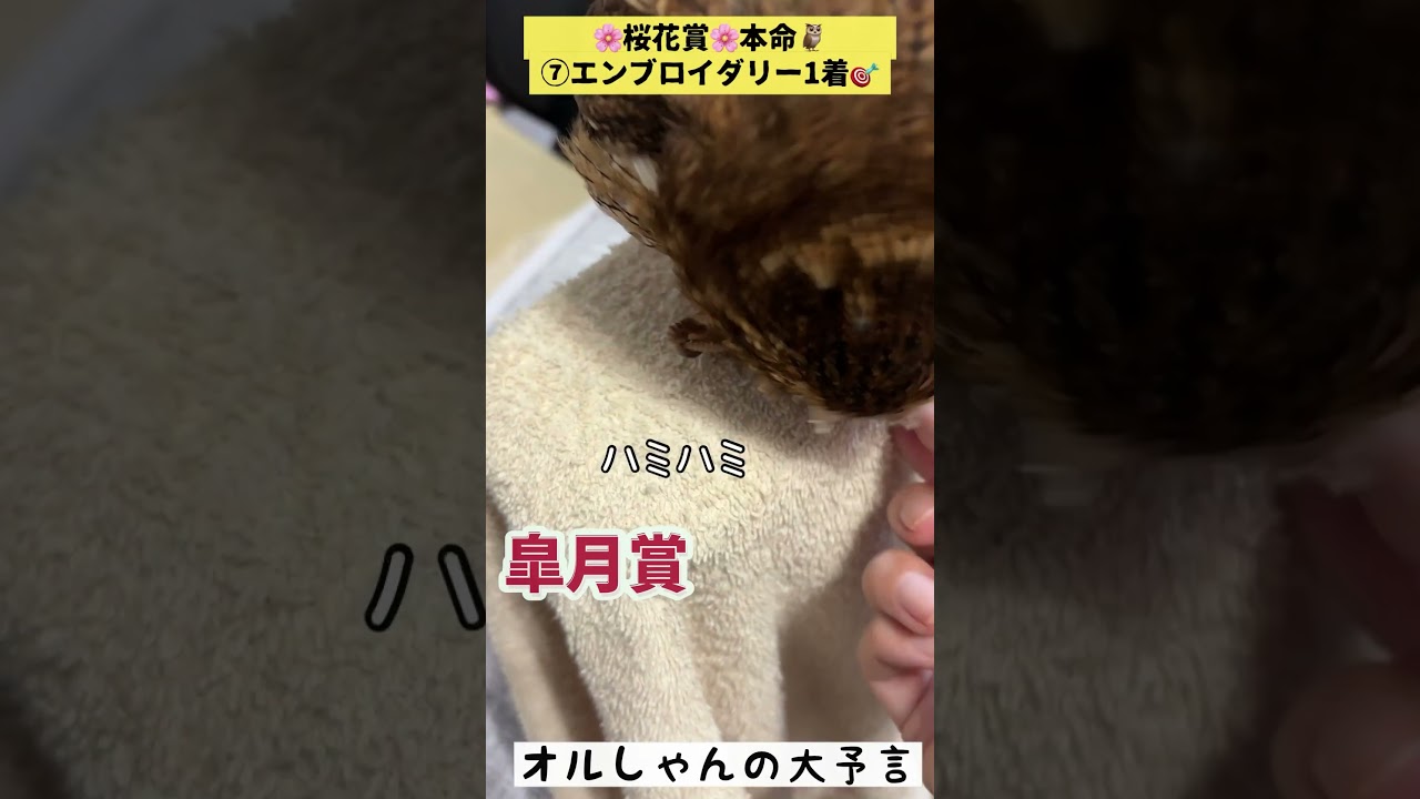 #皐月賞2025 #shorts