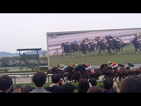 2025 阪神牝馬ステークス(ＧII)　サフィラ(松山弘平)