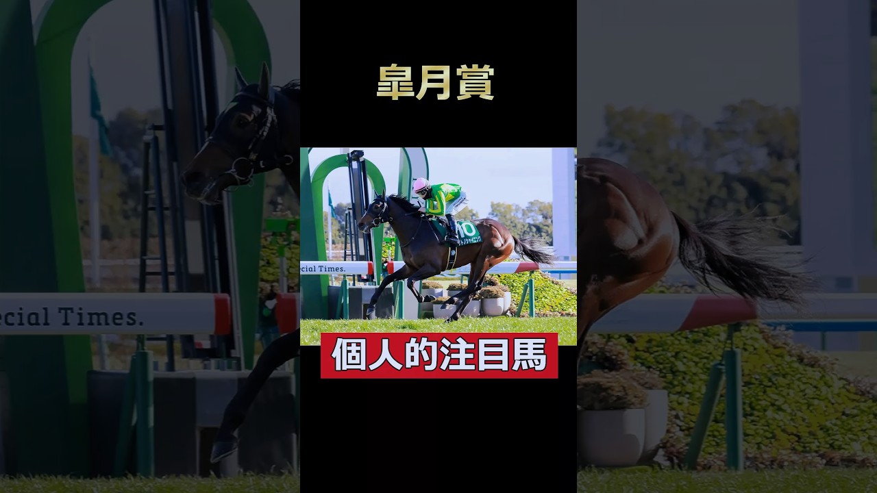 いざ皐月の舞台で光を放つ！サトノシャイニング！皐月賞個人的注目馬！#皐月賞 #サトノシャイニング