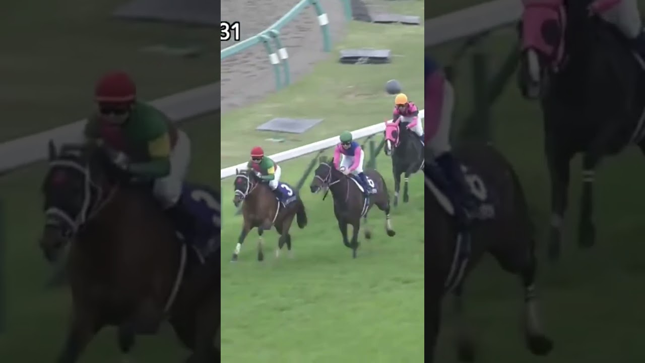 2020〜2024中山グランドジャンプ(J・G1)直線のみダイジェスト！#競馬#中山競馬#中山グランドジャンプ#障害レース#石神深一#jra#騎手#オジュウチョウサン#メイショウダッサイ#黒岩悠#馬