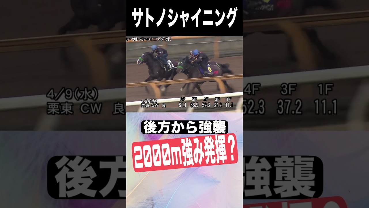 皐月賞2025　元厩務員　#皐月賞