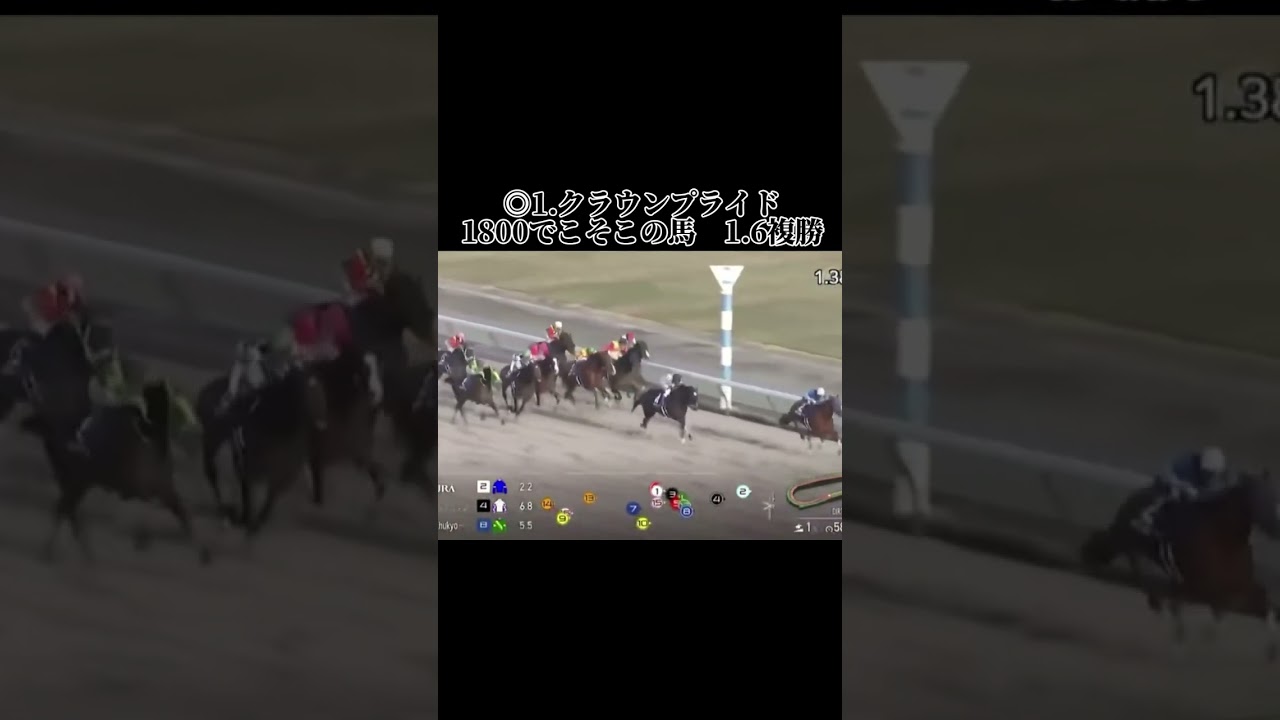 チャンピオンズカップの結果です！ここは前でも粘れる #競馬 #中京競馬予想 #競馬結果 #中京競馬 #チャンピオンズカップ #チャンピオンズc