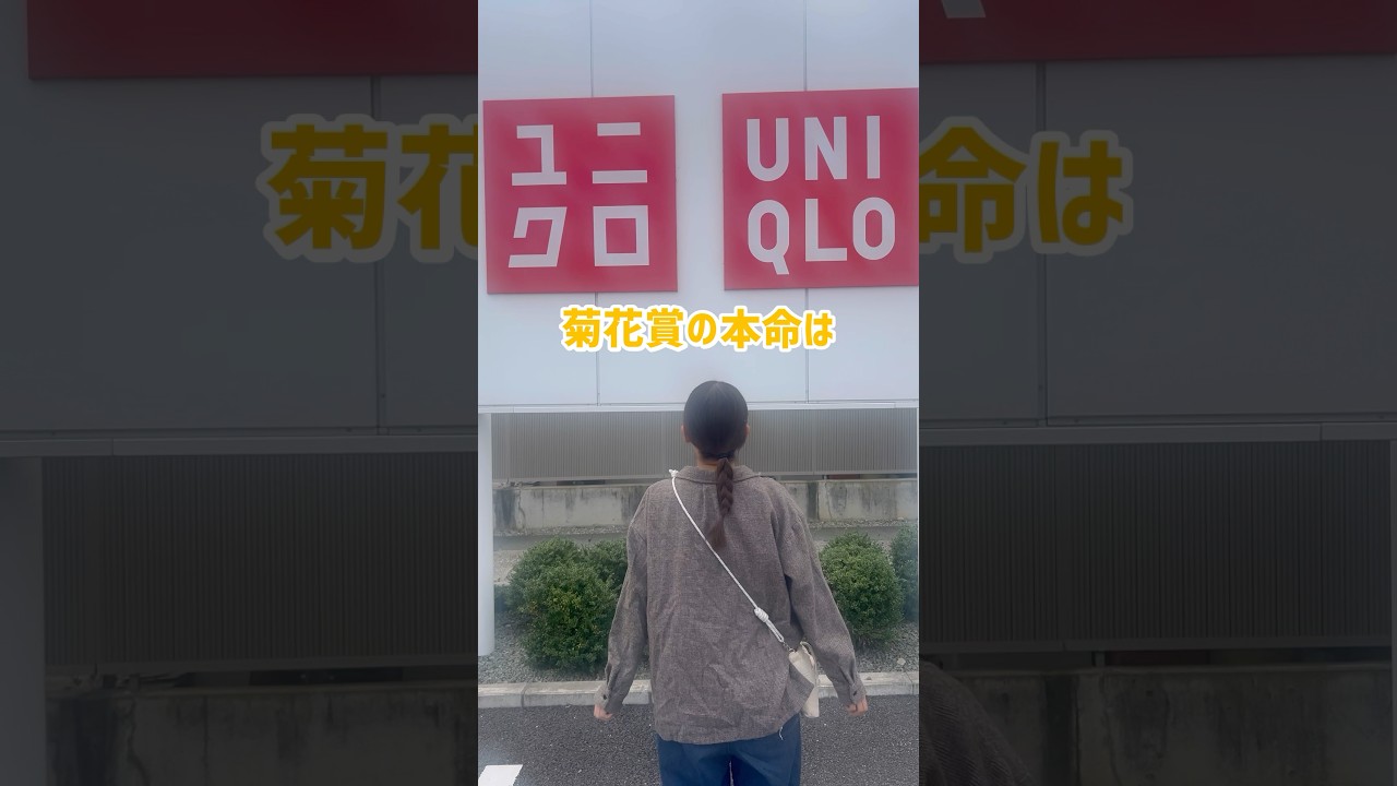 【菊花賞予想】みんなの本命も教えてください！！#菊花賞 #競馬 #競馬女子 #競馬予想