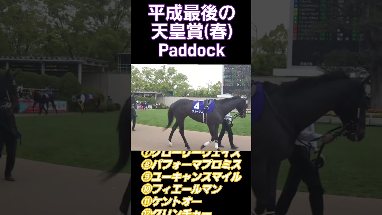 平成最後の天皇賞(春)パドック