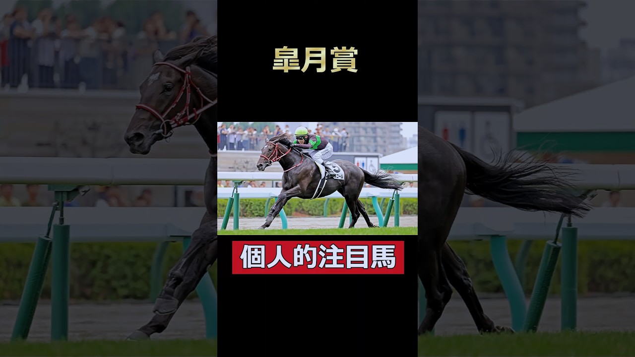 中山に吹き荒れるは春の嵐！キングスコール！皐月賞個人的注目馬！#皐月賞 #キングスコール