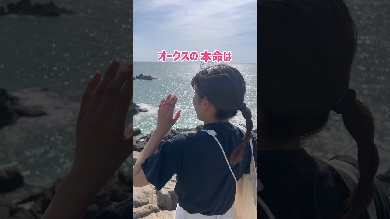 【オークス予想】#オークス #オークス予想　#競馬女子 #競馬 #東尋坊