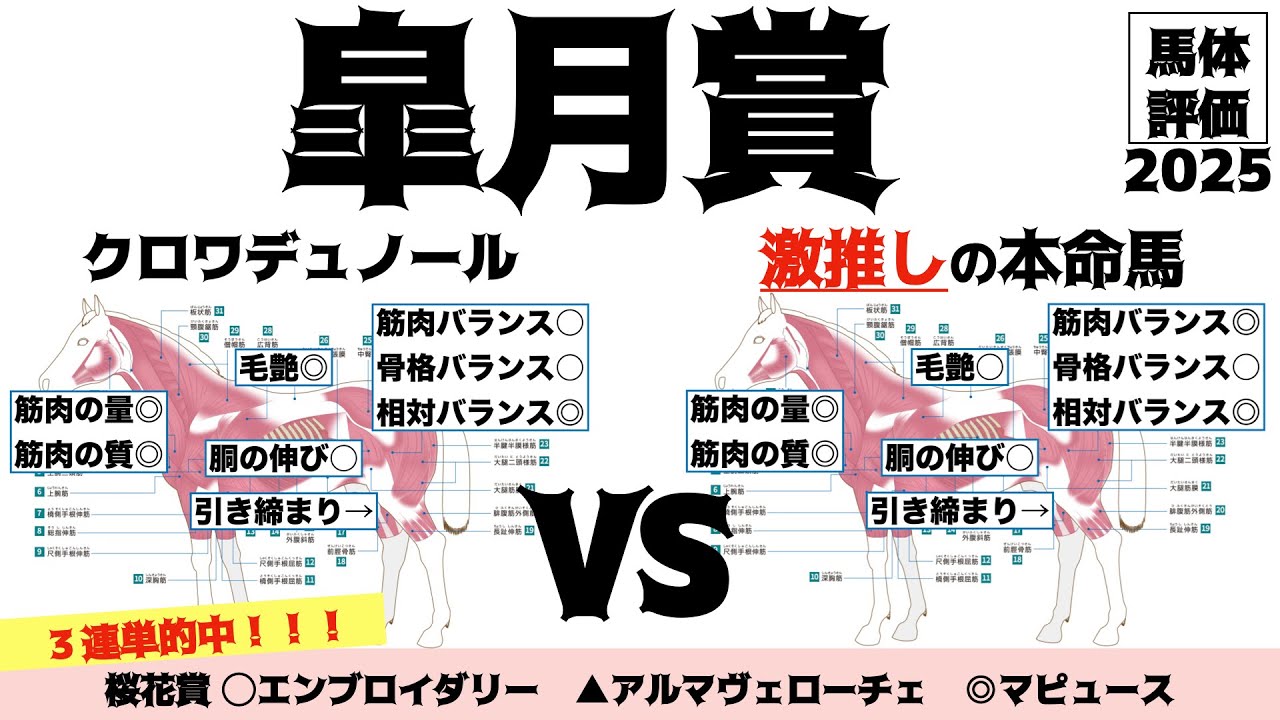 【皐月賞2025】クロワデュノールは馬体も完璧や！！もし、倒せるとしたら…。【馬体評価】