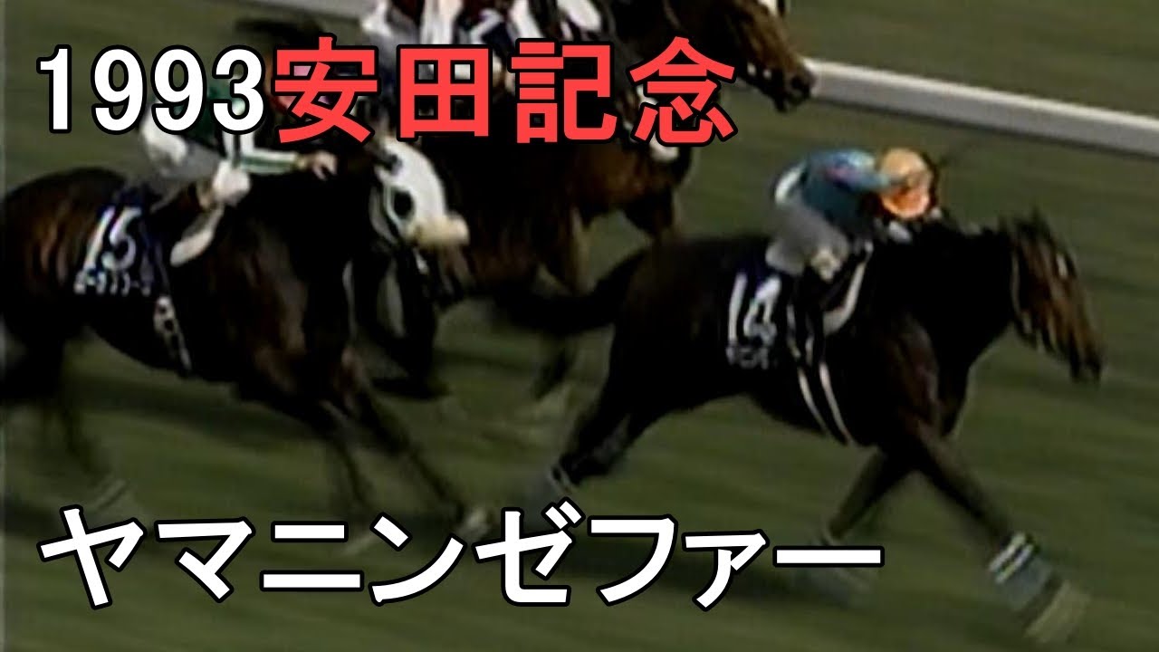 ヤマニンゼファー 1993年(平成5年)第43回安田記念(G1)