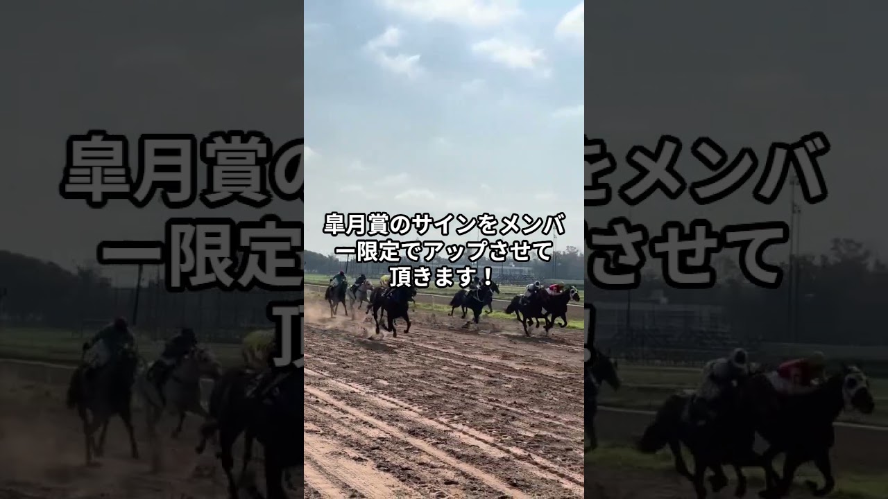 皐月賞2025の強烈サインについて。 #競馬 #皐月賞2025