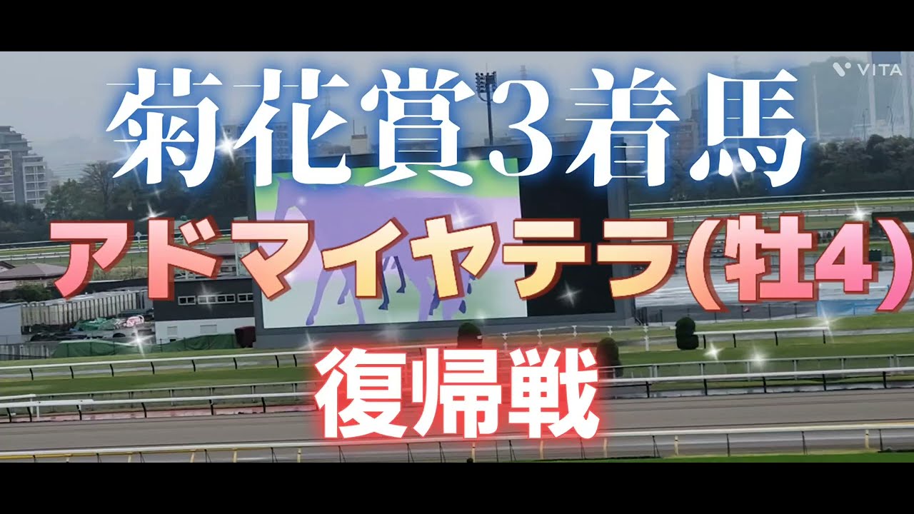 菊花賞3着馬 アドマイヤテラ(牡4)の復帰戦 大阪―ハンブルクC