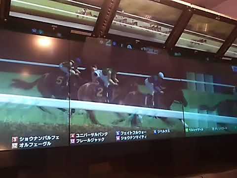 6ソングリア 菊花賞