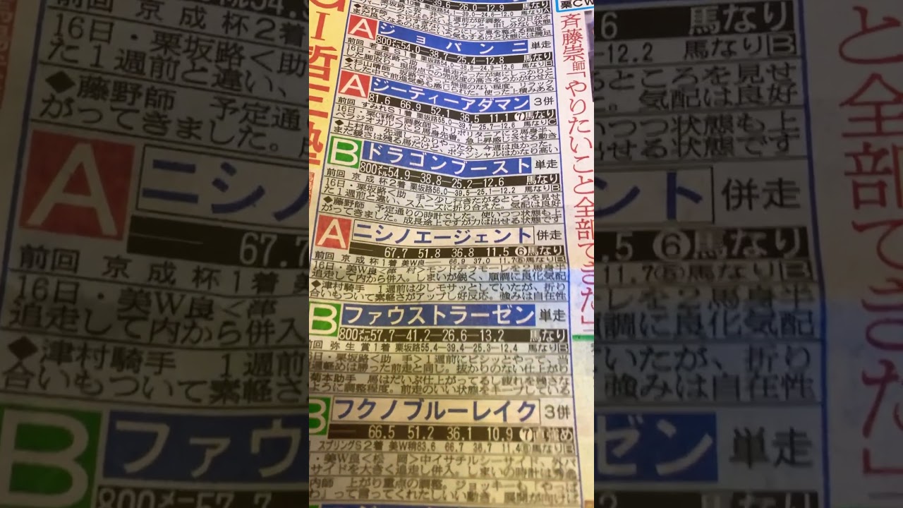 2025 皐月賞　追い切り #競馬