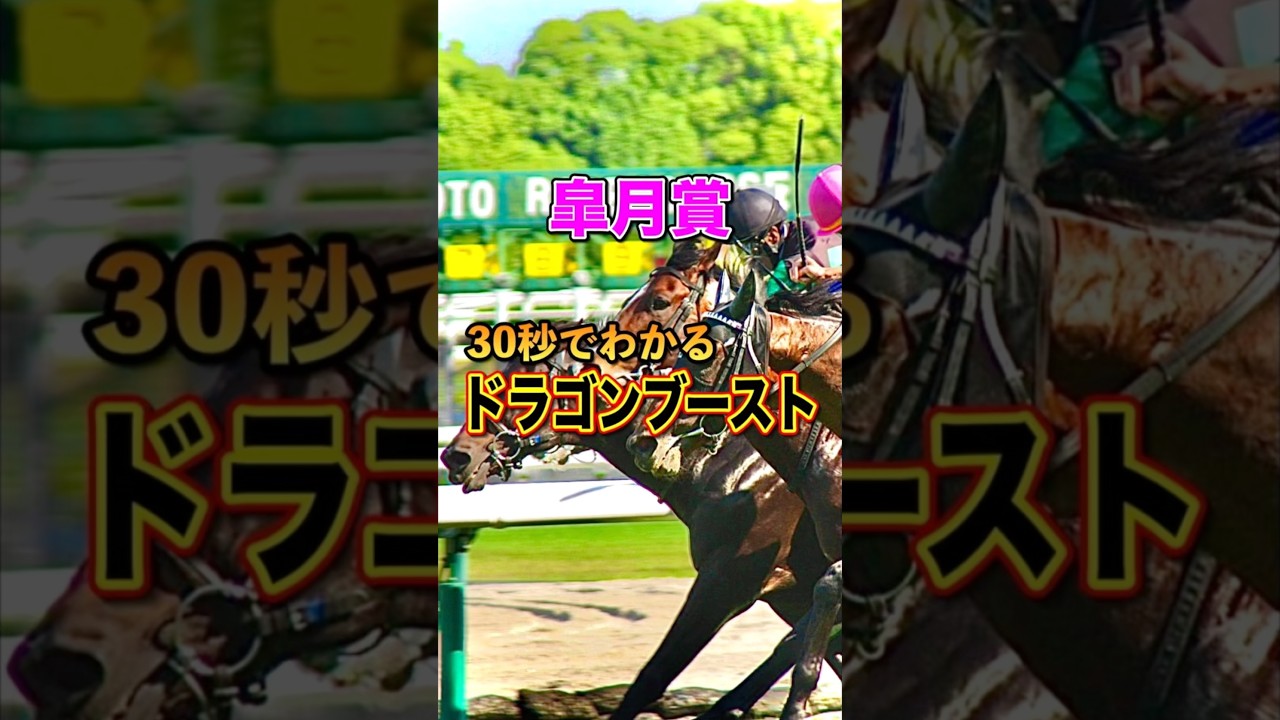 【皐月賞2025】30秒でわかるドラゴンブースト