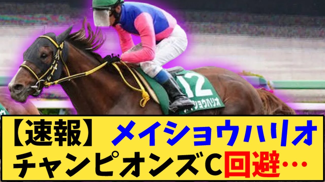 【競馬】「【速報】メイショウハリオ チャンピオンズカップ回避…」に対する反応【反応集】
