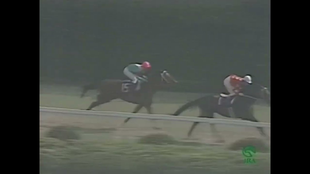 シンボリルドルフ 1985年 第91回天皇賞(春)(GI) (優勝馬：シンボリルドルフ) (実況：ラジオたんぱ)