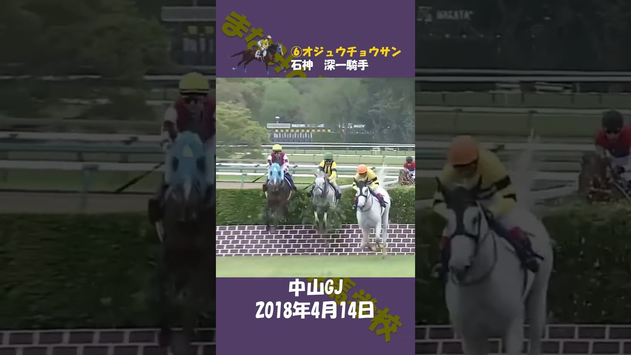 2018年中山GJ（個人的ベスト中山GJ） #競馬