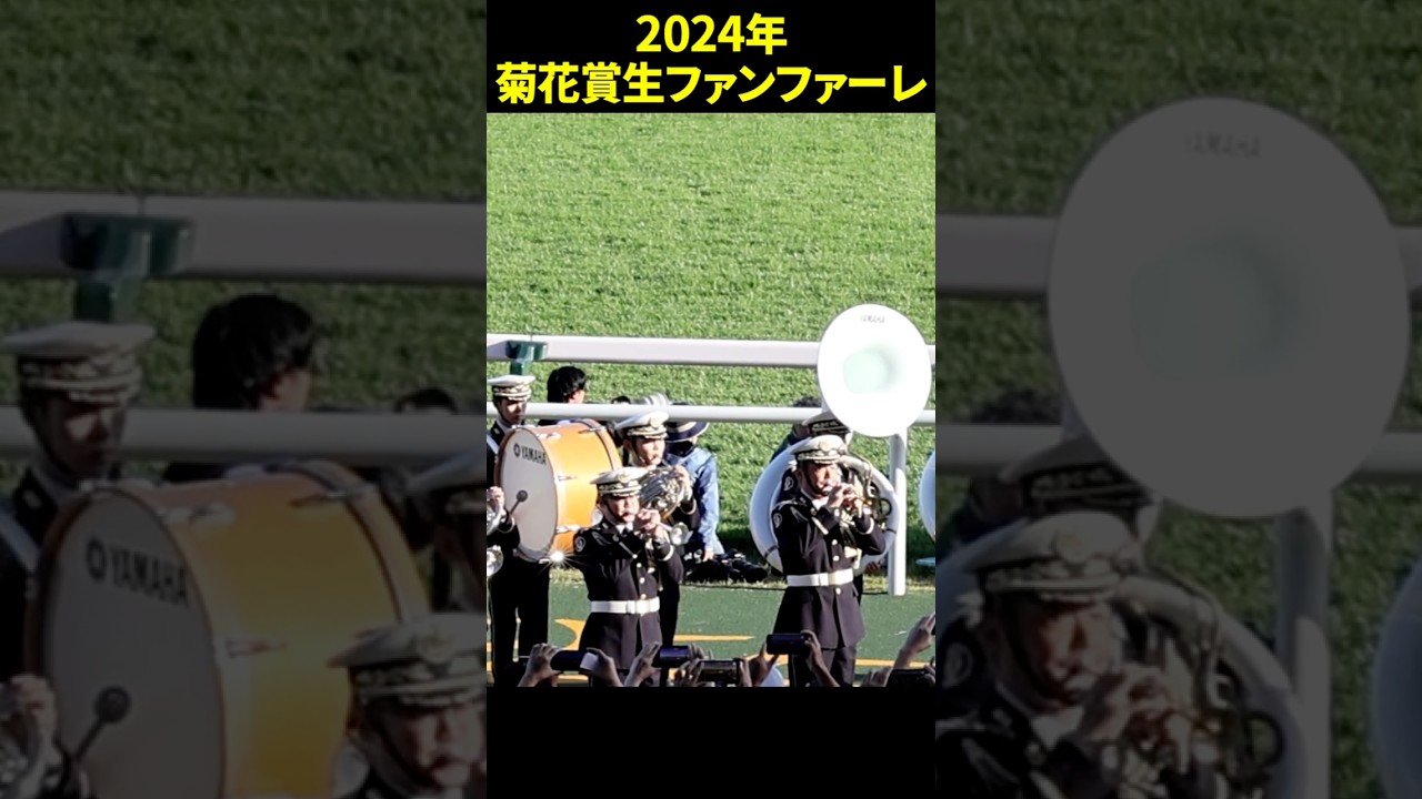 2024年第85回菊花賞のG1生ファンファーレ演奏 #菊花賞 #生ファンファーレ #陸上自衛隊 #競馬 #現地映像 #shorts