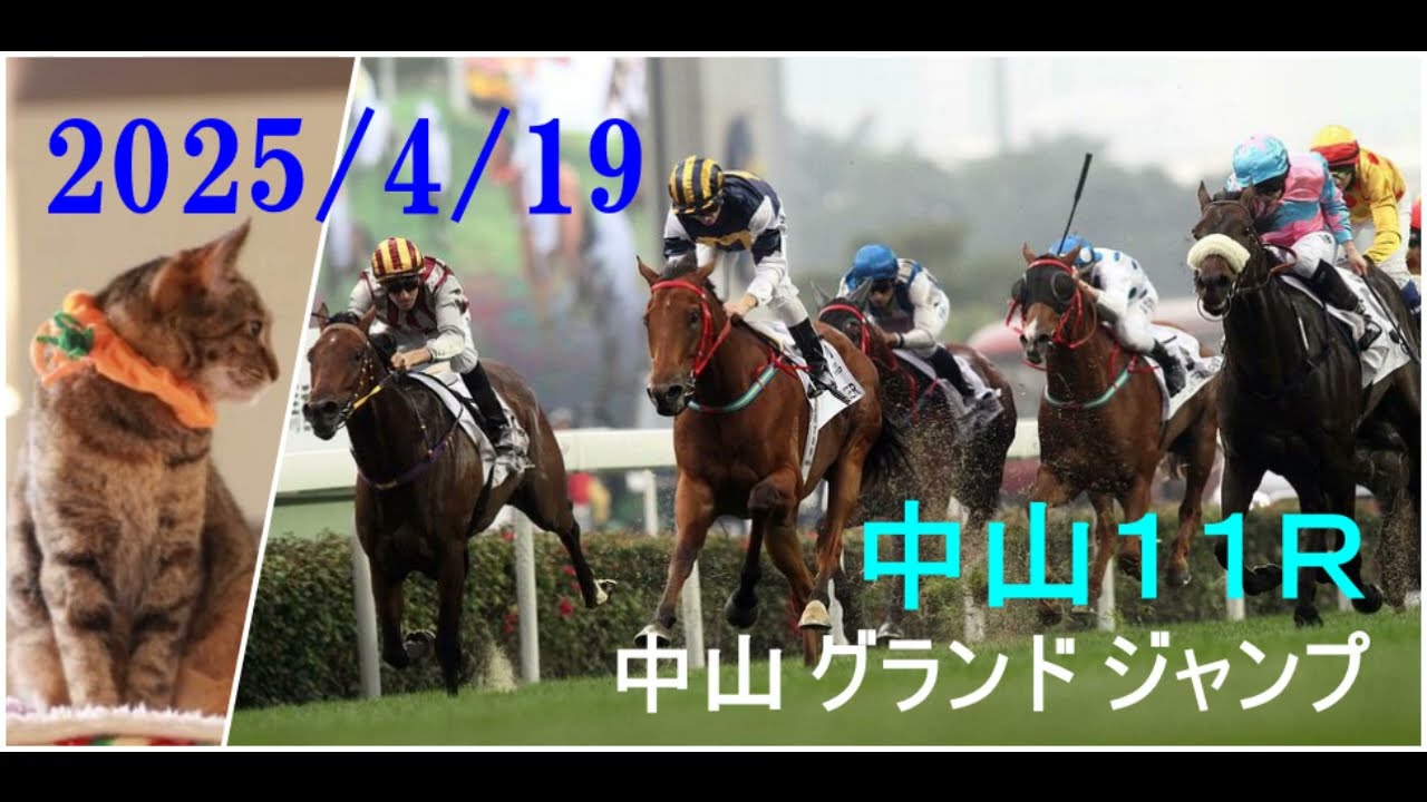 2025/4/19　中山１１レース　中山 グランド ジャンプ（Ｊ・ＧⅠ）枠順確定
