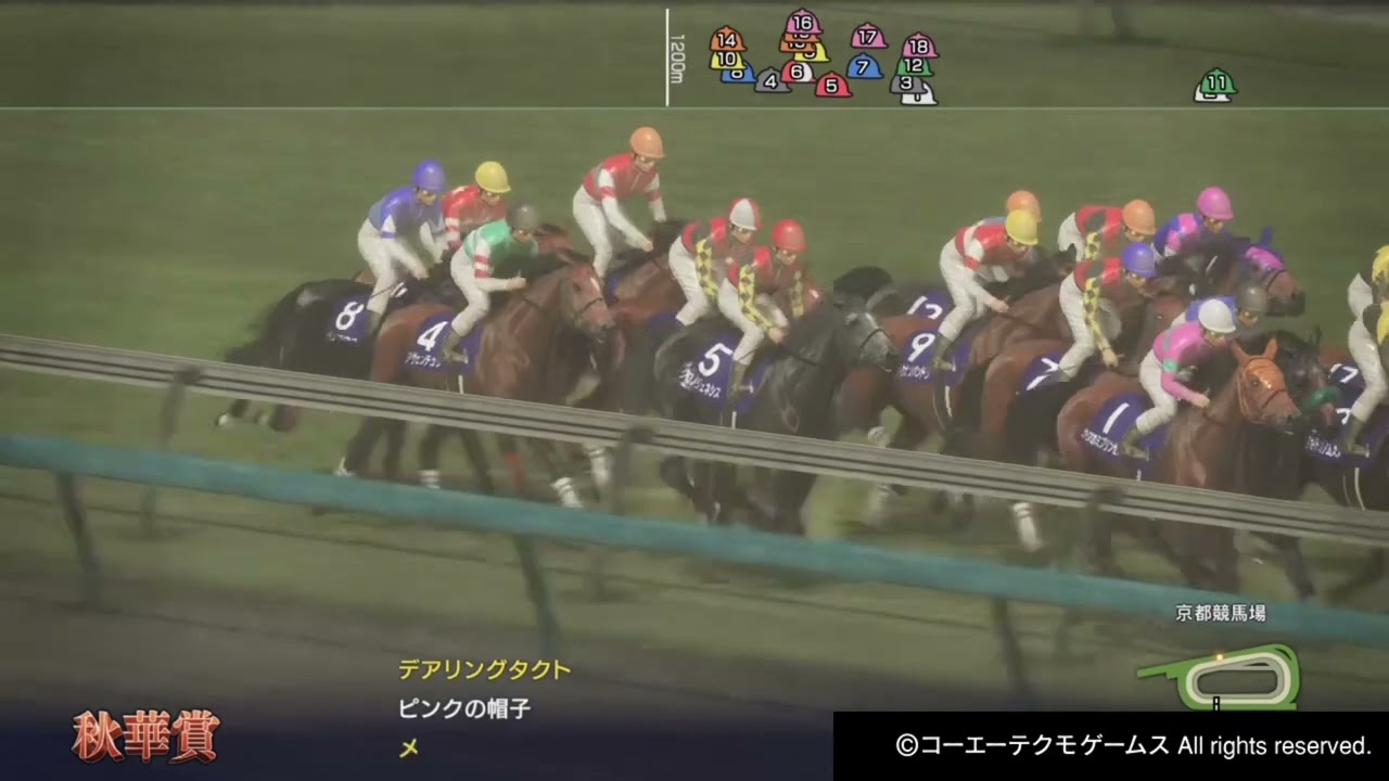 ドリームレース｢秋華賞｣