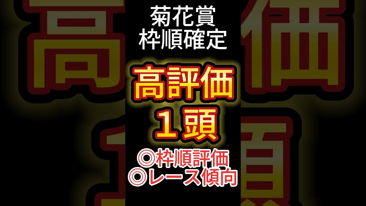 菊花賞 2024【枠順確定後】高評価は１頭！ アノ馬でした！