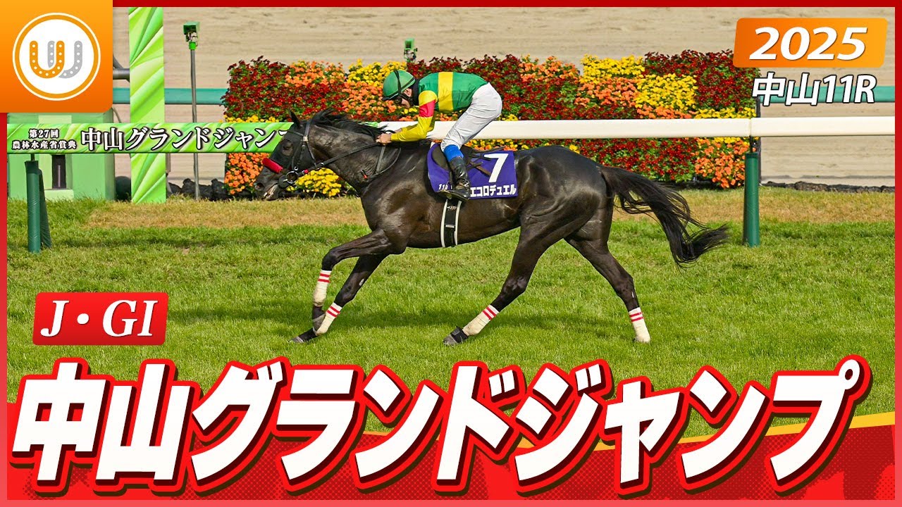 【レース映像】中山11R 第27回 中山グランドジャンプ（J・GI）｜エコロデュエル（草野太郎）｜ウイニング競馬