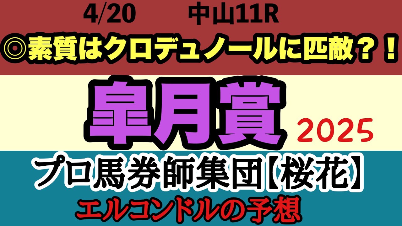 エルコンドル氏の皐月賞2025予想！！さぁいよいよ牡馬クラシック一戦目！クロワデュノールは強いが競馬に絶対はない！初のCコース開催で何が起きる？！