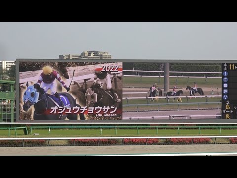 【中山グランドジャンプ 2025】レース前のカッコいい煽りV〜障害G1ファンファーレ【現地】