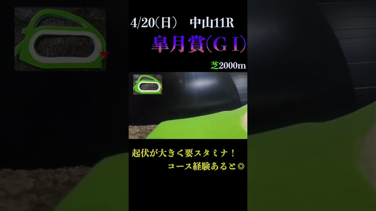 【買っちゃえばいいじゃん】皐月賞(ＧⅠ) 2025 #競馬予想 #win5