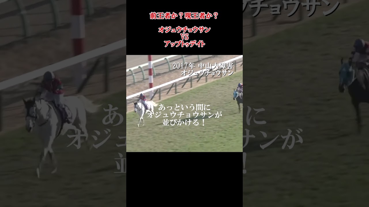 名実況 オジュウチョウサン 中山大障害 アップトゥデイト 前王者か？現王者か？