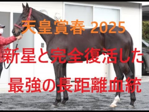 天皇賞春 2025 新星と完全復活した最強の長距離血統