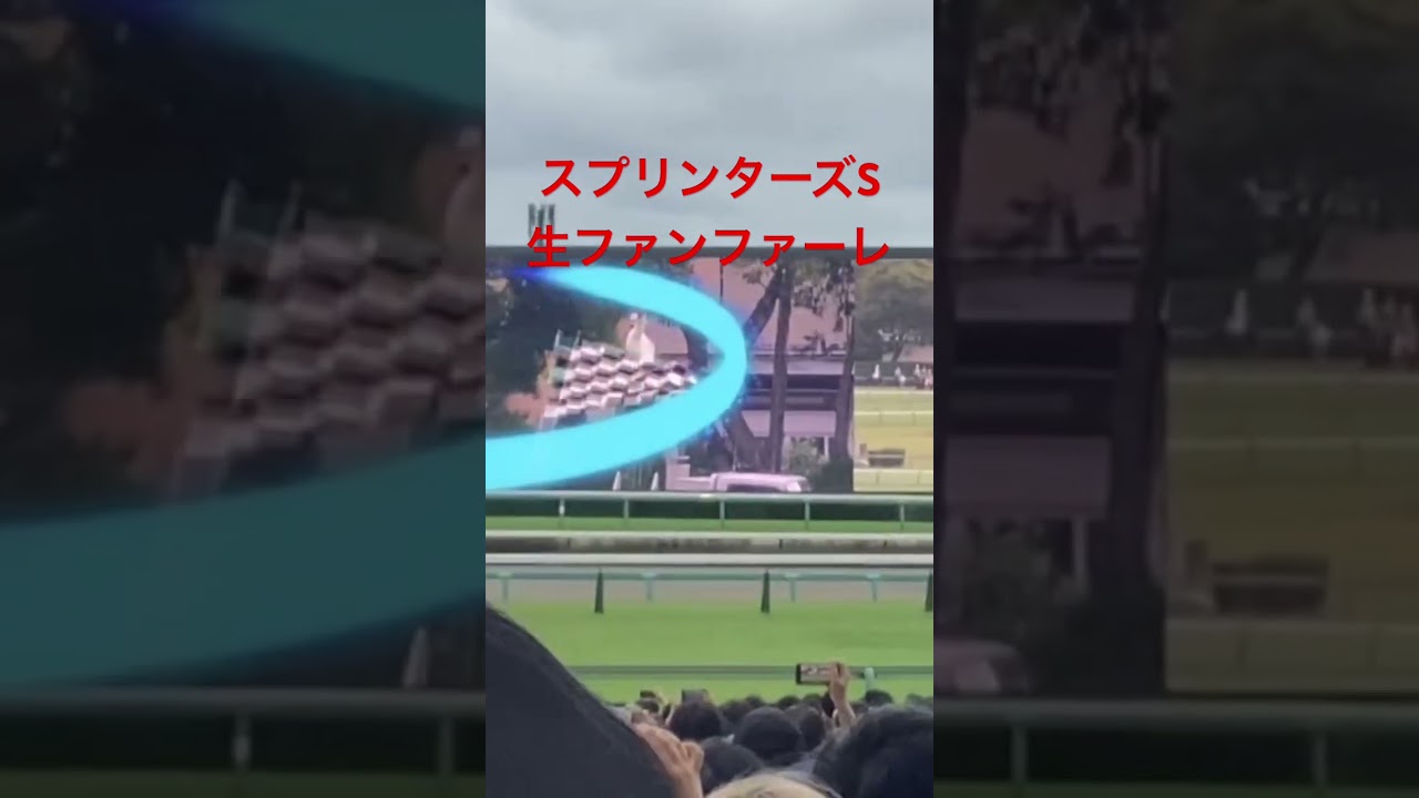 【現地の雰囲気】スプリンターズS2024 生ファンファーレ　#競馬 #スプリンターズステークス