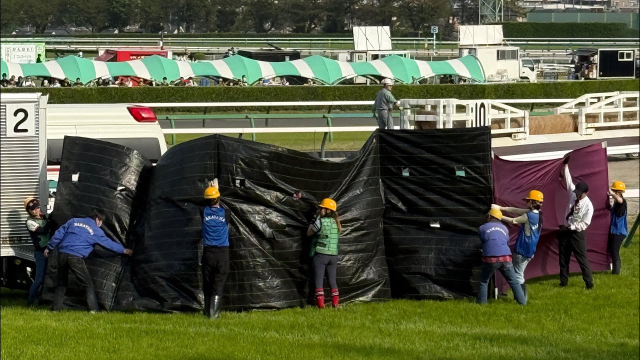 レース後大変な状況でも瞬時の判断で対応する係員　2025中山グランドジャンプ
