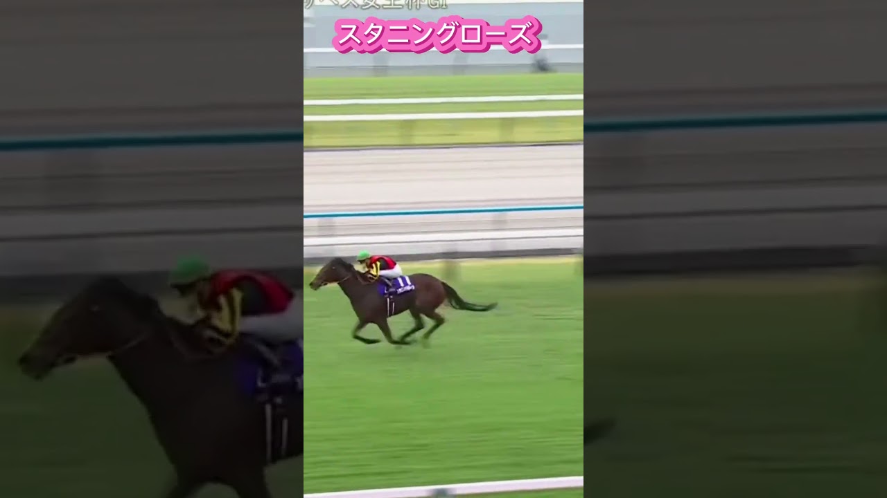 [スタニングローズ€秋華賞馬の完全復活! 】1、2着馬は瑠星の元お手馬-本人は3着もクリスチャンに祝福!#エリザベス女王杯#スタニングロ#競馬 #競馬予想 #馬 #shorts