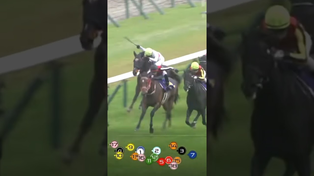 皐月賞勝ったのはミュージアムマイル　Jモレイラ　父リオンディーズ #競馬