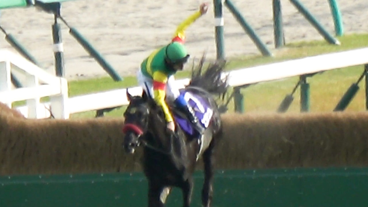 【中山グランドジャンプ2025】最終障害バランスが崩れたのを踏ん張ってGⅠ初勝利‼ 草野太郎と⑦エコロデュエルのウイニングランで感極まる 現地映像