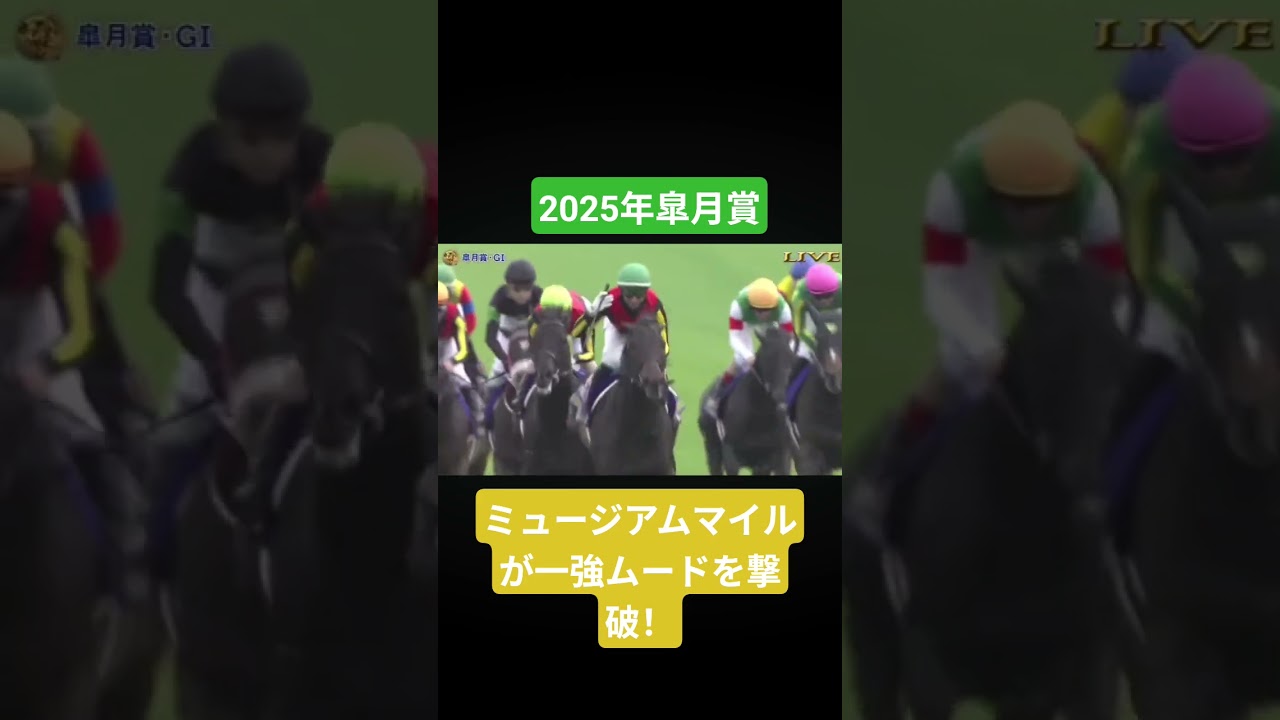 【2025年皐月賞】ミュージアムマイルが断然人気のクロワデュノールを異次元の末脚で戴冠！！ #競馬#ミュージアムマイル#モレイラ#クロワデュノール#皐月賞#皐月賞2025#shorts