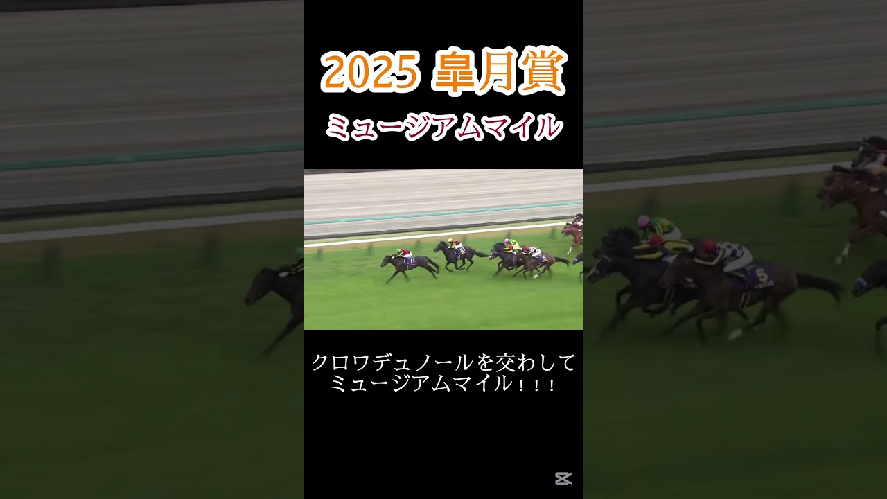 【競馬】皐月を制したミュージアムマイル！モレイラ騎手！！ #競馬 #horseracing #horse #shorts #中山競馬場 #皐月賞 #モレイラ #クロワデュノール