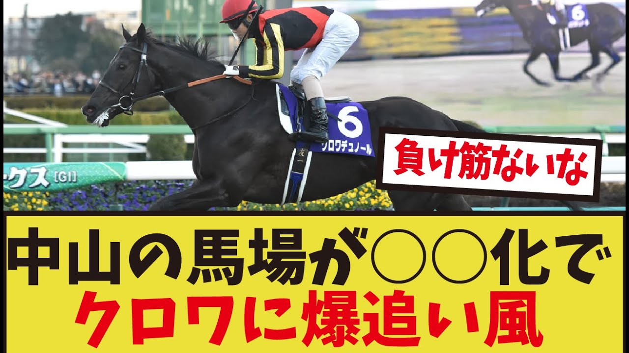 「中山の馬場が異常だけど皐月賞どうなる」に対するみんなの反応集