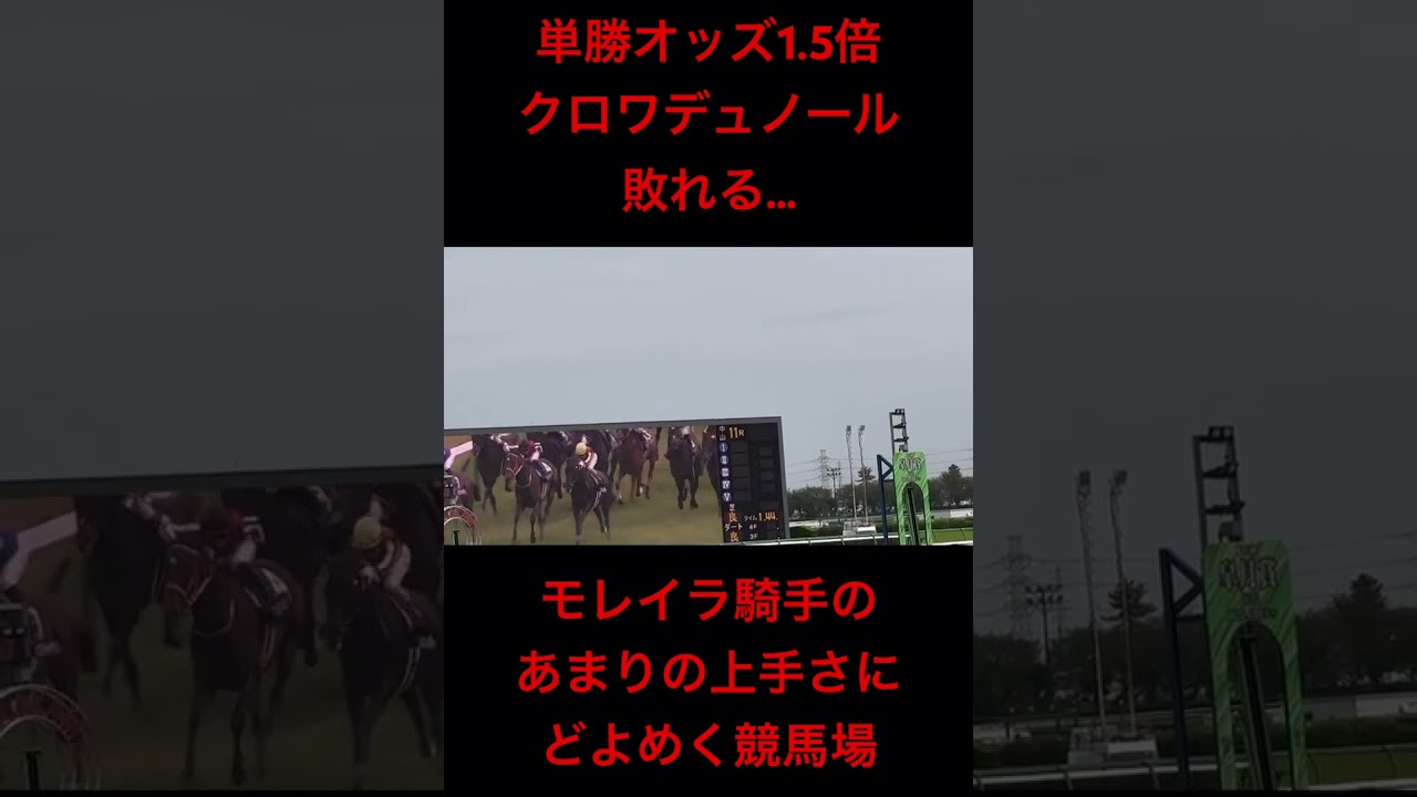 皐月賞2025 ゴールの瞬間 どよめく中山競馬場 #shorts #クロワデュノール #モレイラ #ミュージアムマイル #皐月賞2025 #中山競馬場 #競馬