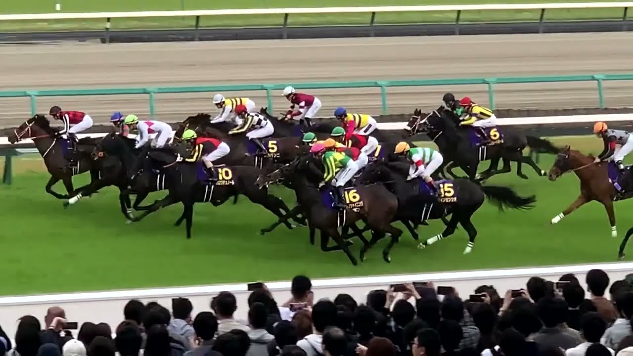 ＜モレイラマジック＞皐月賞 2025.04.20 ミュージアムマイルが大本命クロワデュノールを1馬身1/2差し切る 場内迄～パドック～本馬場入場～場内雰囲気～レース