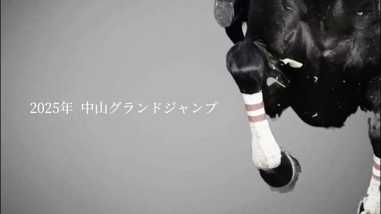 エコロデュエル 中山グランドジャンプ JRA CM風