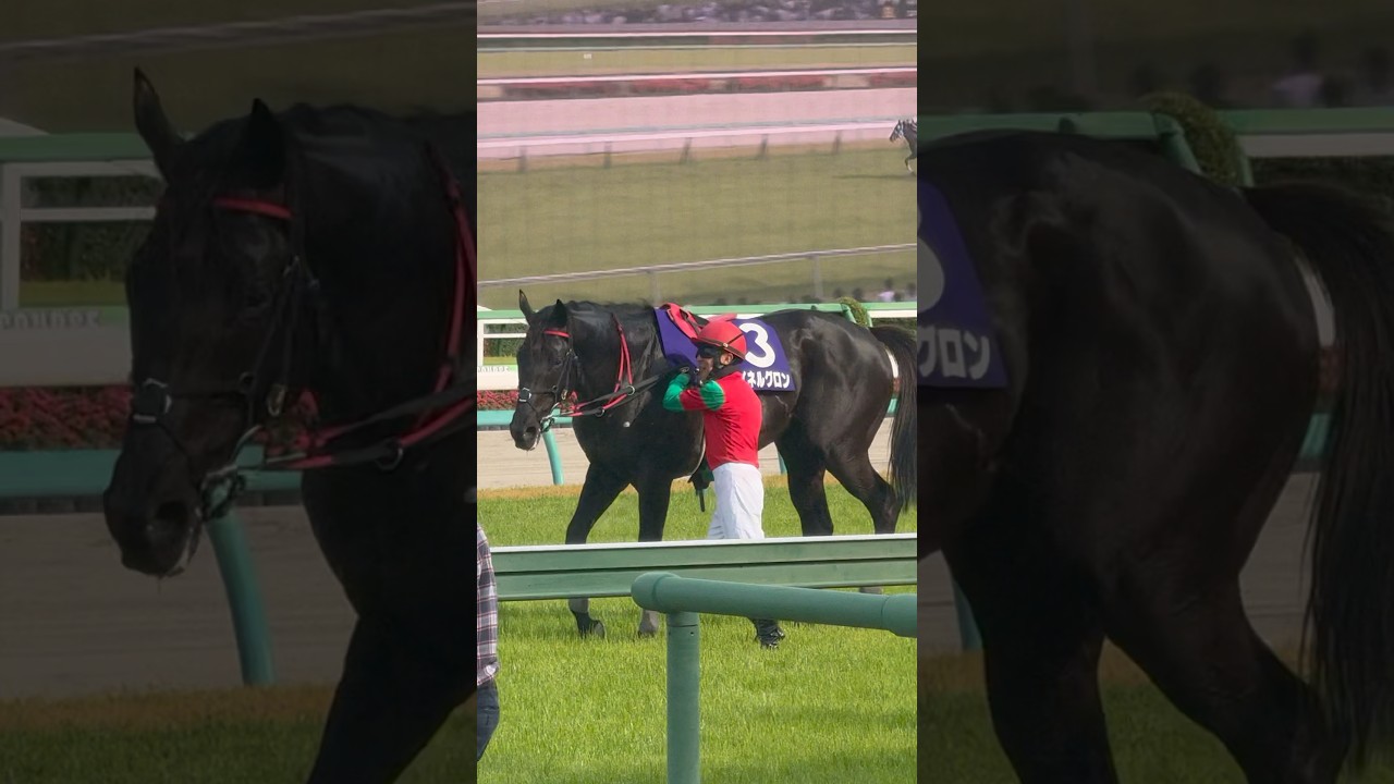 レース後本馬場で下馬し鞍を外す石神騎手 マイネルグロン 第27回中山グランドジャンプ