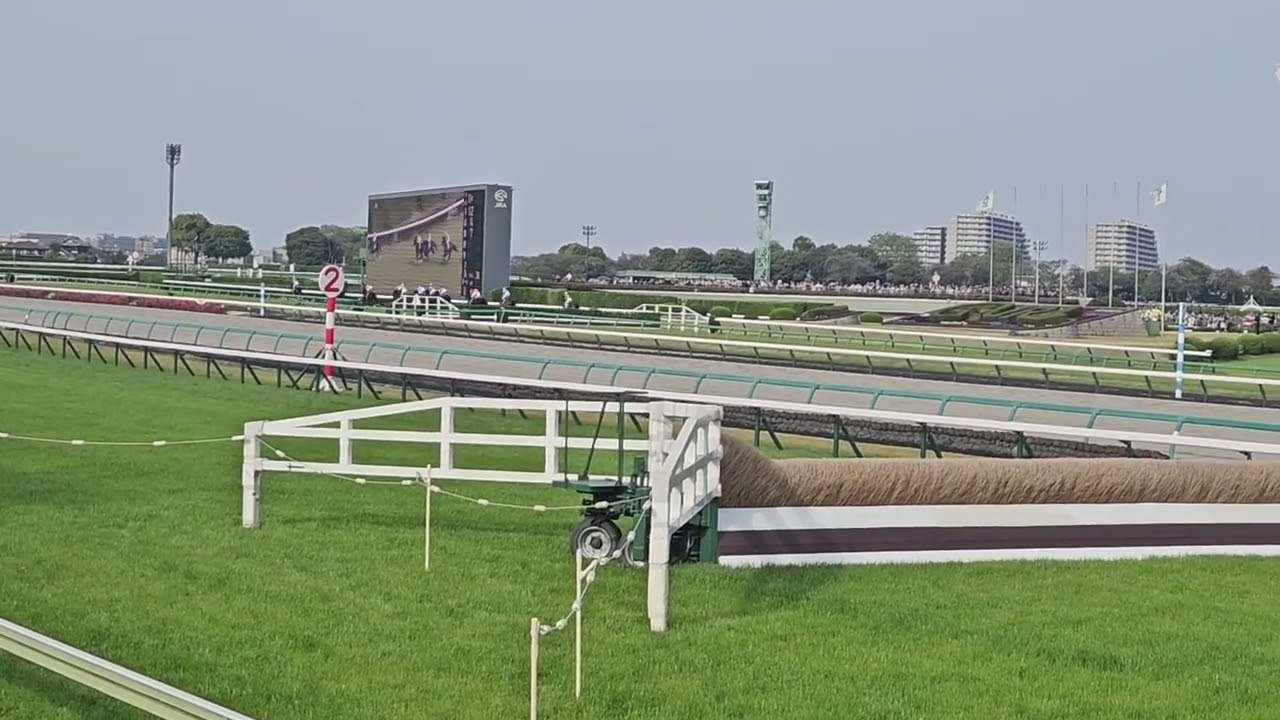 第27回中山グランドジャンプ2025