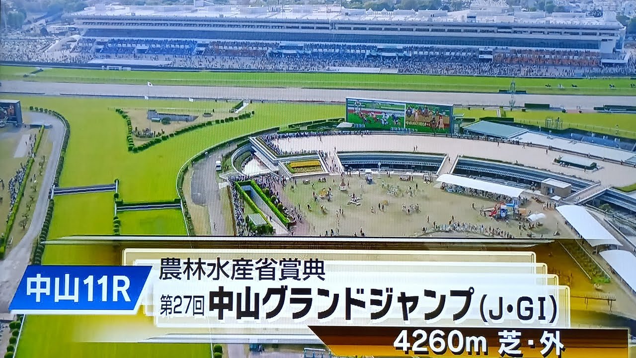 中山グランドジャンプの本馬場入場