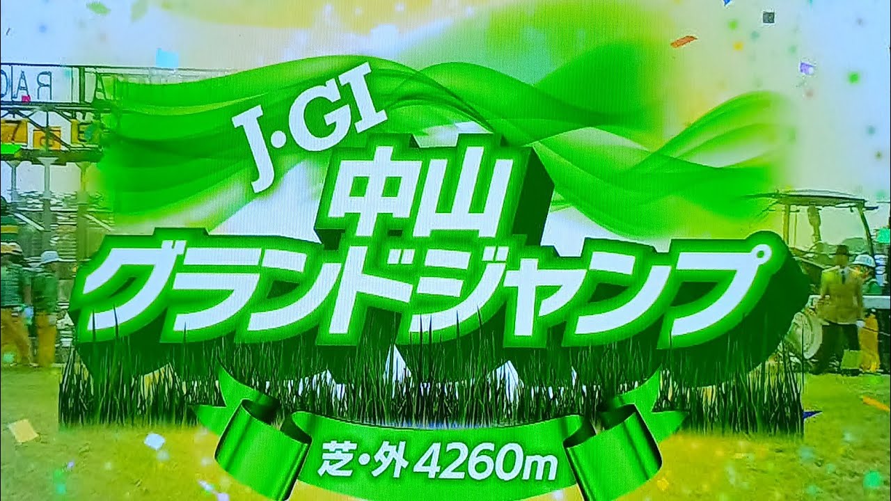 中山11レース第27回中山グランドジャンプ(J・GⅠ) エコロデュエル