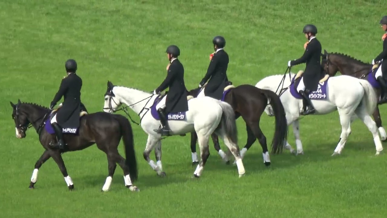 【中山グランドジャンプ2025】本馬場入場 現地映像 エコロデュエル